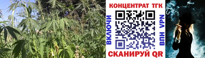 ТГК вейп  гидра ссылка  Старая Купавна 