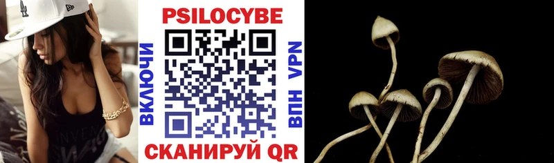 Галлюциногенные грибы Psilocybine cubensis как найти закладки Старая Купавна