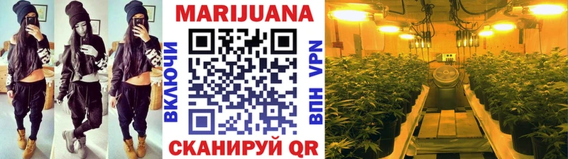 KRAKEN ТОР  Старая Купавна  Канабис планчик  что такое  